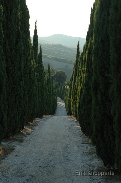 Toscane 4 - Ergens bij Colle di Val d'Elsa.jpg